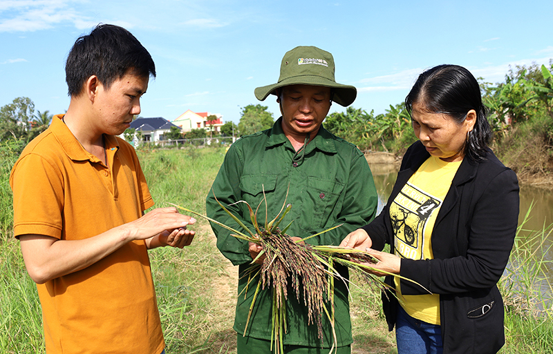 Đẩy mạnh ứng dụng tiến bộ khoa học-công nghệ vào thực tiễn