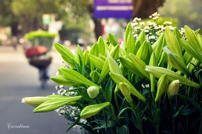 Khung trời tháng tư