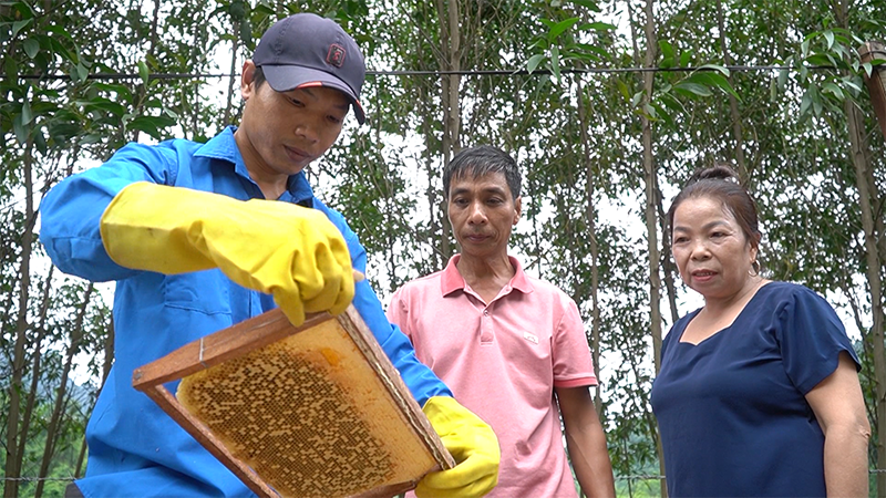 Khi hợp tác xã là "bệ đỡ" cho đồng bào dân tộc thiểu số