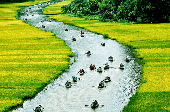 Cho ngày thống nhất