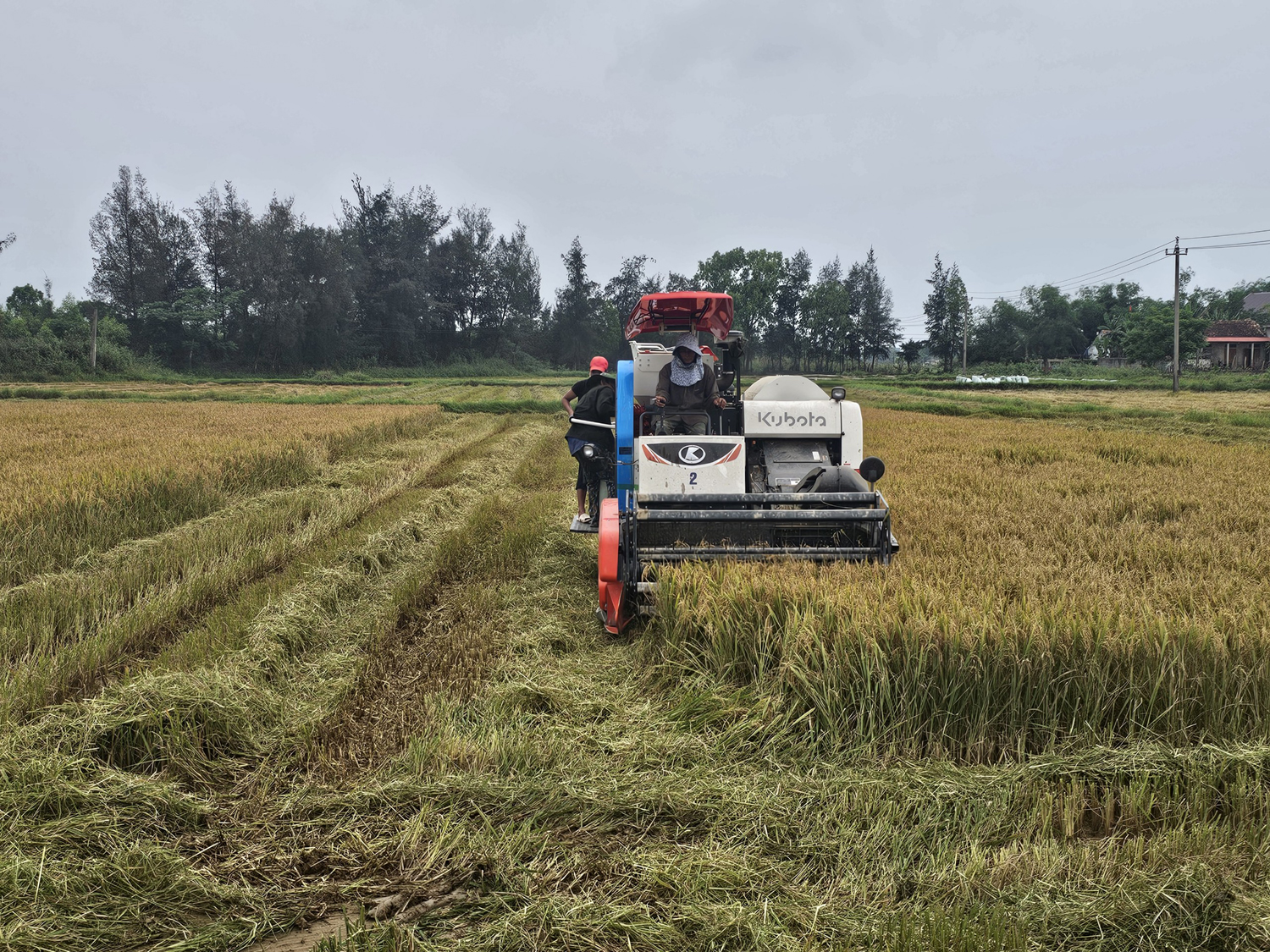 Thúc đẩy cơ giới hóa trong sản xuất nông nghiệp