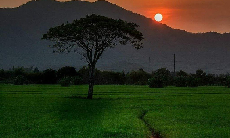 Ru chiều