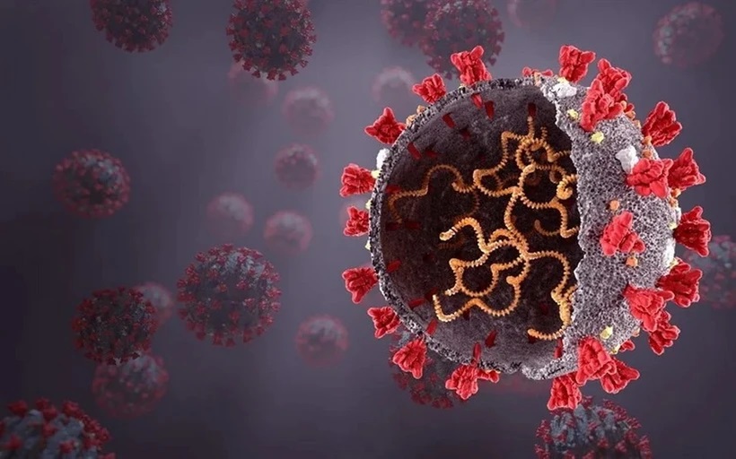 Biến thể phụ KP.2 của SARS-CoV-2 có thể lây lan nhanh hơn, 'né' vaccine tốt hơn