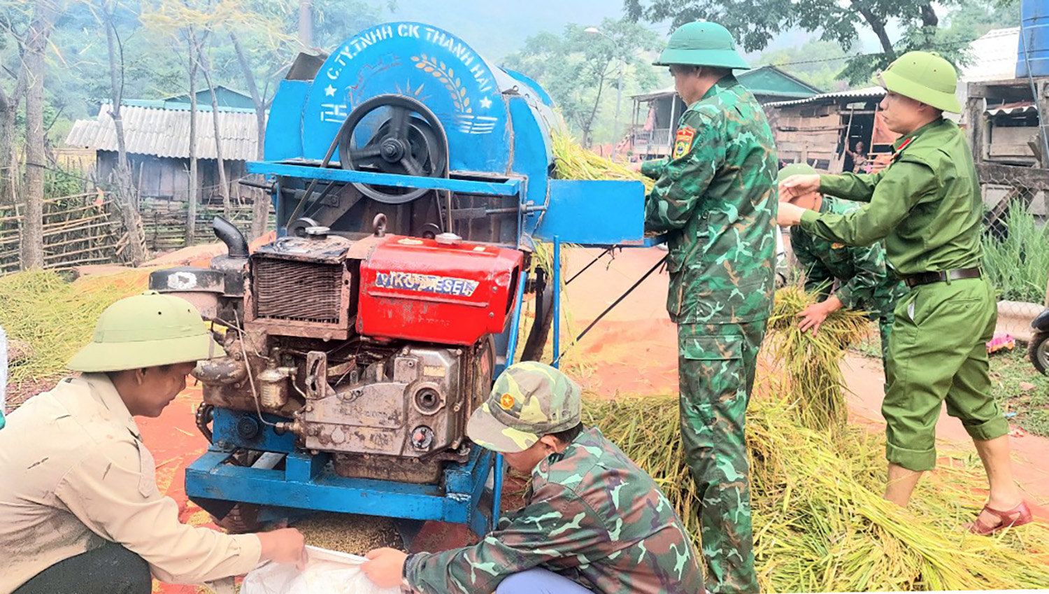 Năng suất lúa nước bản K-Ai cao nhất từ trước đến nay