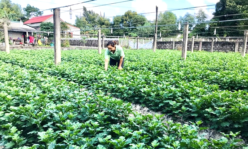 Phát triển nguồn nhân lực ở Lệ Thủy: Chặng đường còn gian nan