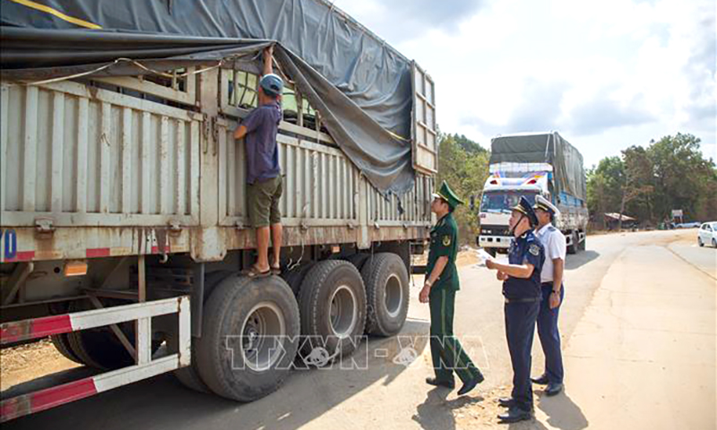 Gian lận thương mại và hàng giả ngày càng tinh vi