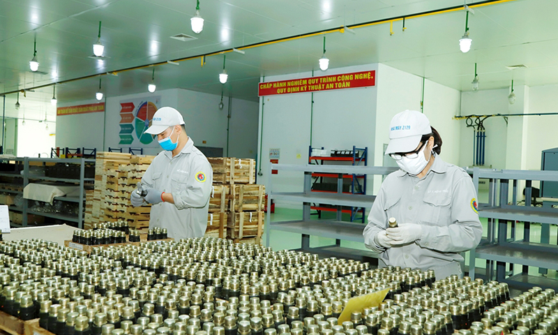 Quy định về tổ hợp công nghiệp quốc phòng như thế nào?