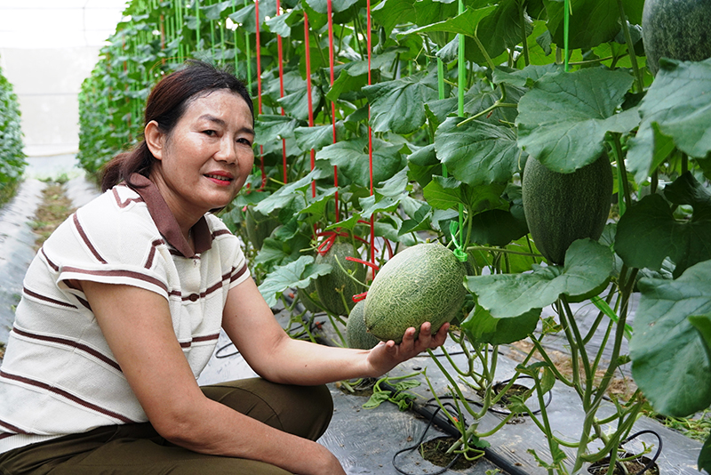 Hướng đến nền nông nghiệp hữu cơ