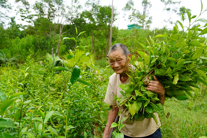 Những "điểm tựa" của bản làng