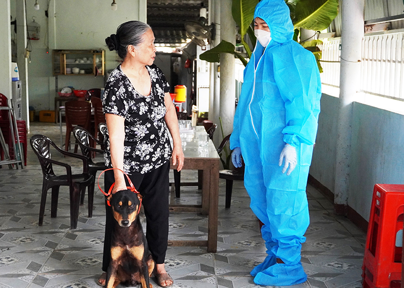 Tiêm vắc-xin phòng dại cho chó, mèo đạt gần 100%