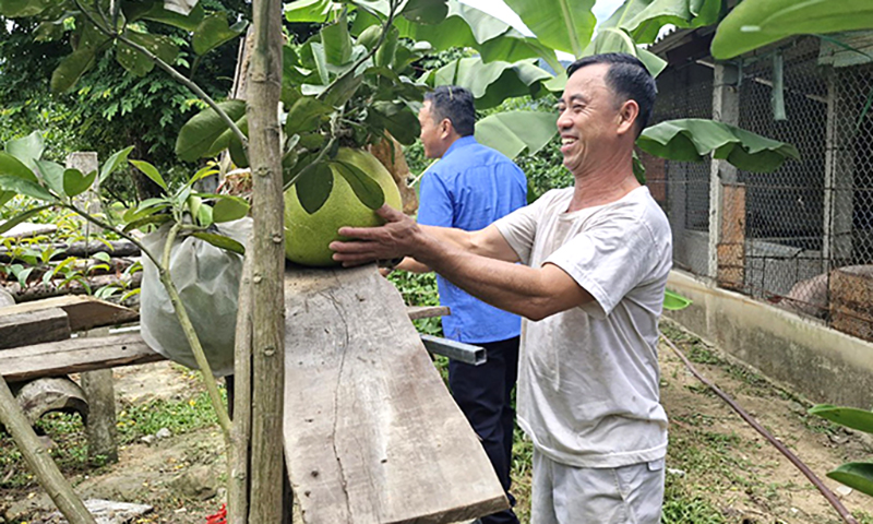 Khi người lính xây dựng vườn mẫu