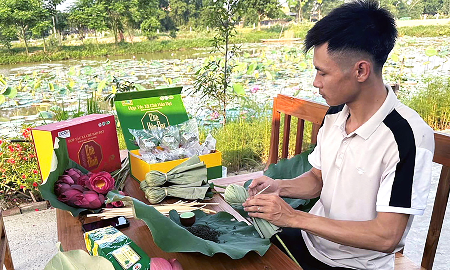 "Nâng tầm" giá trị cây sen