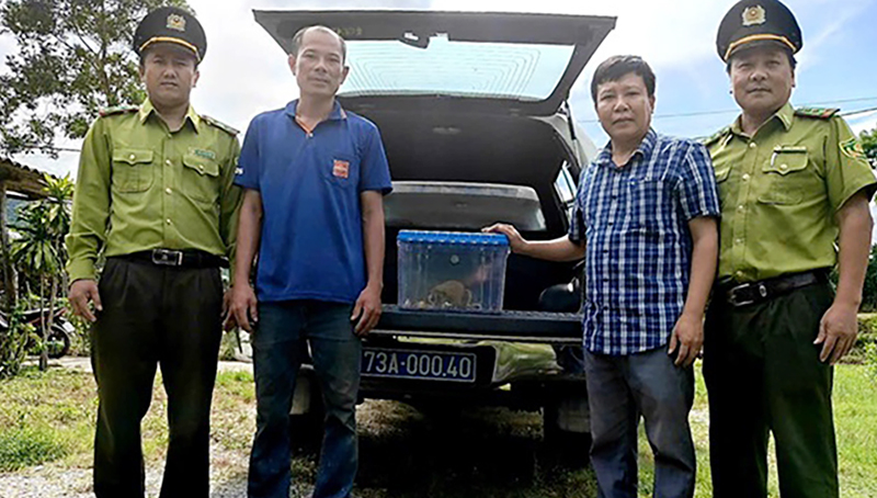Tiếp nhận động vật hoang dã do người dân tự nguyện giao nộp