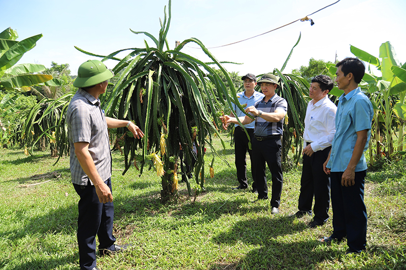 Đánh giá tiến độ thực hiện nhiệm vụ sự nghiệp khoa học và công nghệ