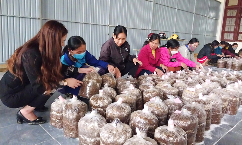 Chú trọng đào tạo nghề cho lao động nông thôn