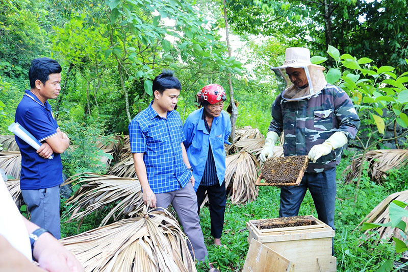 Tập huấn chuyển giao kỹ thuật trong sản xuất nông nghiệp