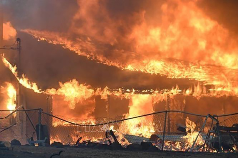 Cảnh báo về chất lượng không khí do cháy rừng ở bang California