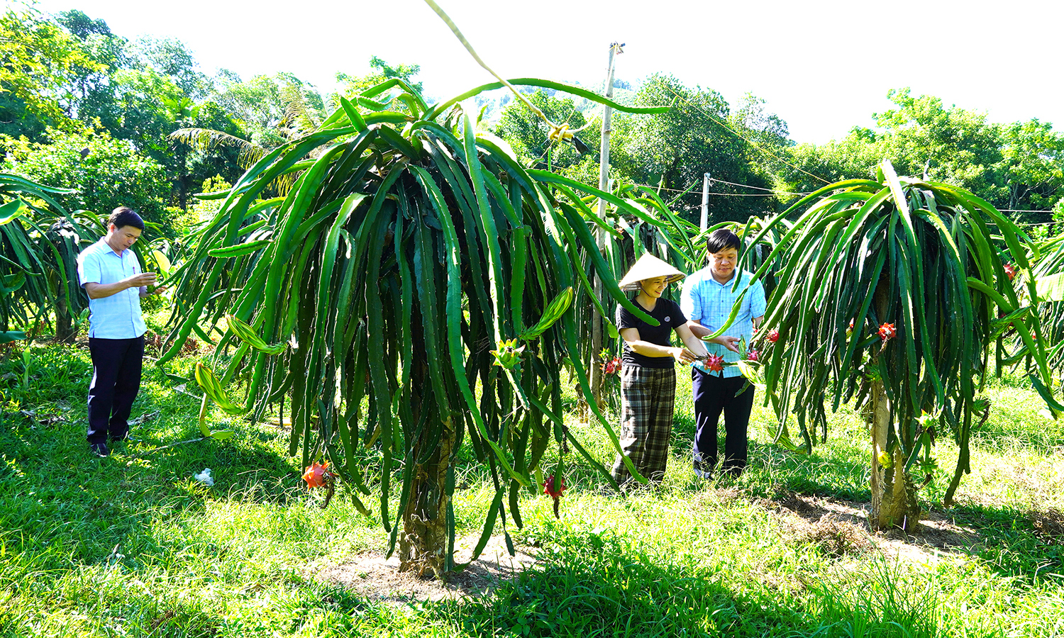 Từ khoa học đến thực tiễn