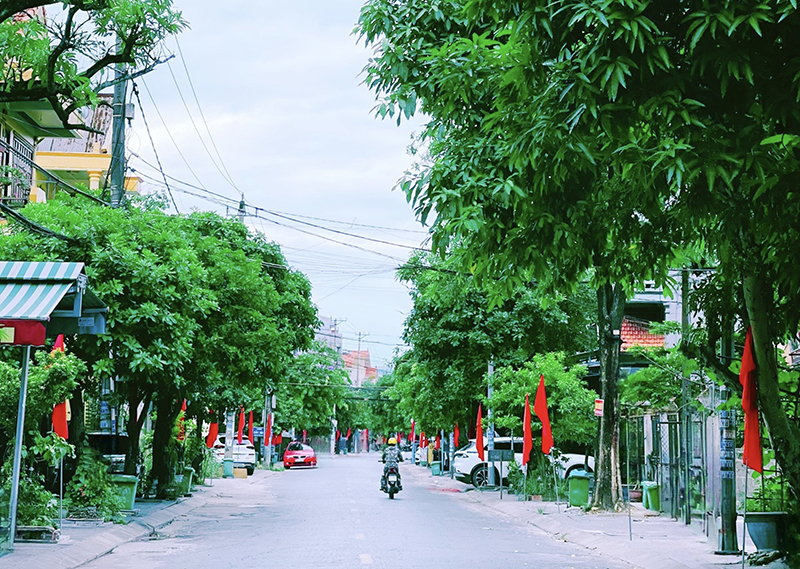 Từ những mô hình
