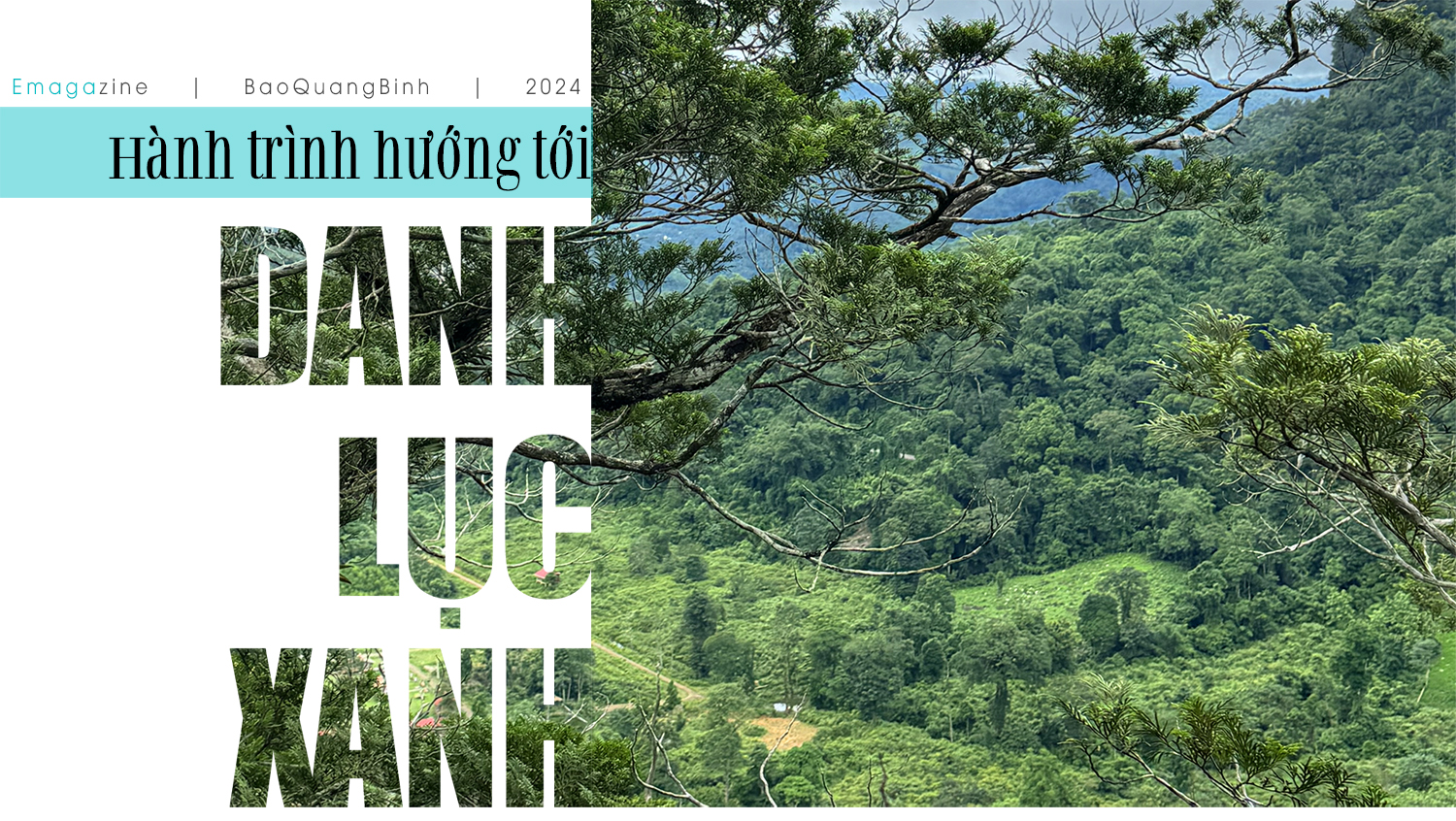 Hành trình hướng tới danh lục xanh