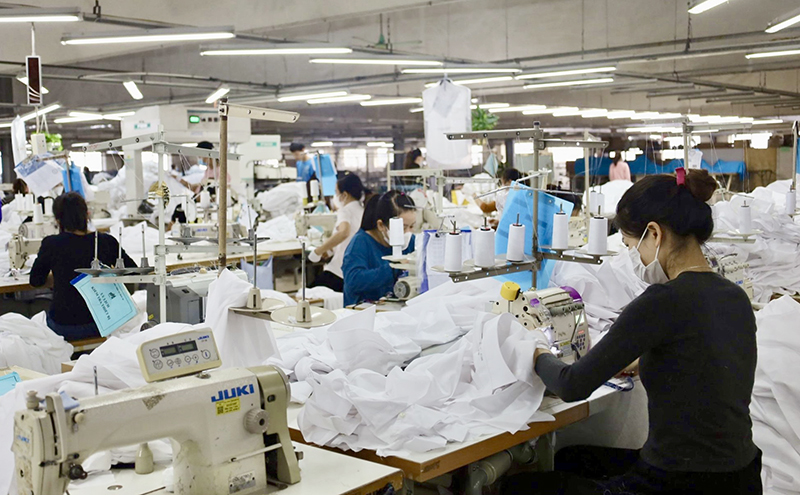 Đẩy mạnh thanh tra, kiểm tra lĩnh vực bảo hiểm xã hội