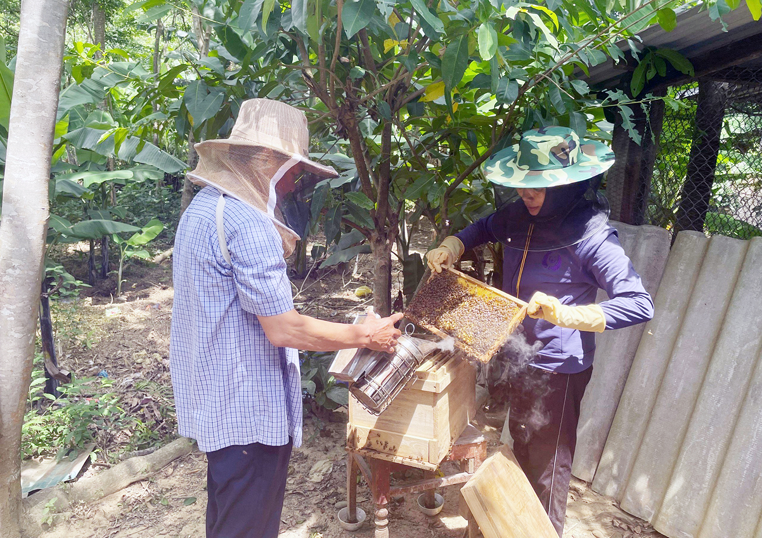 Chung tay giảm nghèo cho người dân miền núi