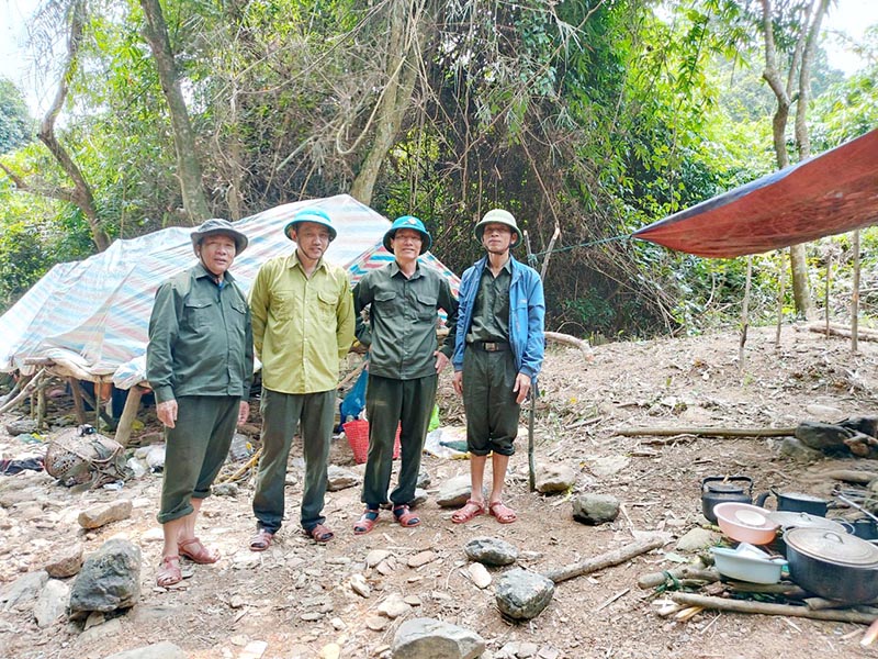 Nỗ lực bảo vệ và phát triển rừng
