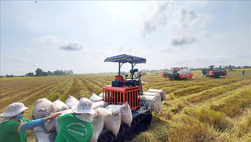 Hàn Quốc thúc đẩy xuất khẩu thiết bị nông nghiệp sang Việt Nam