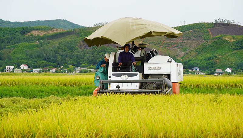 "Mở lối" phát triển nông nghiệp xanh