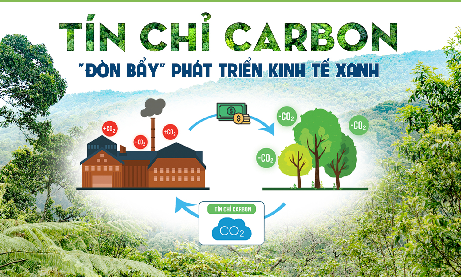 Tín chỉ carbon: "Đòn bẩy" phát triển kinh tế xanh