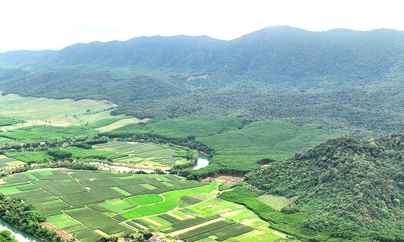 Phân định ranh giới rừng tự nhiên