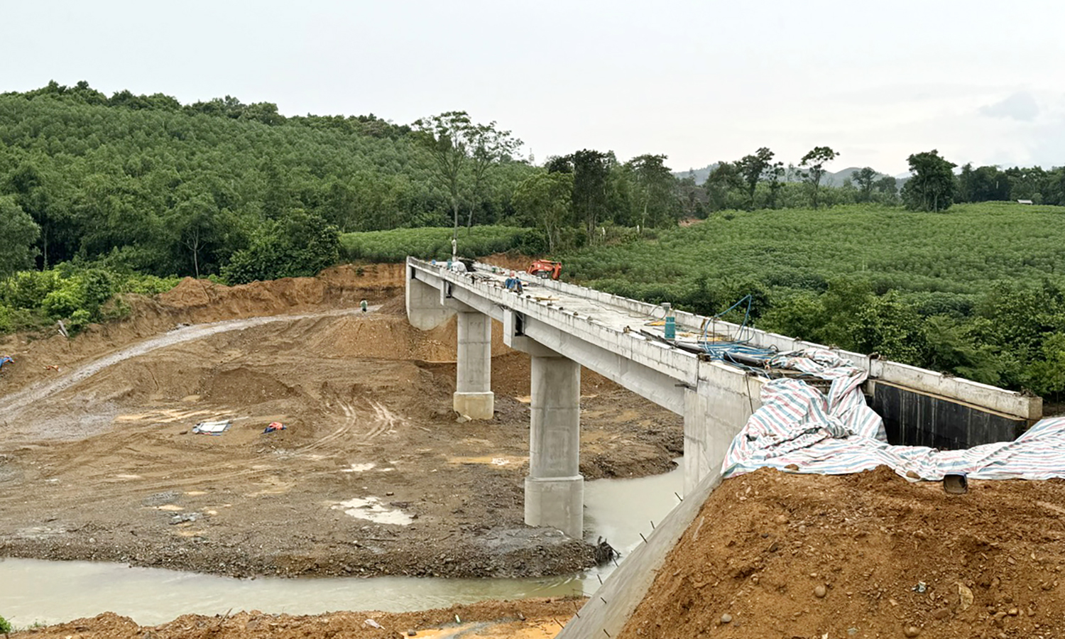 Ánh sáng từ phía đại ngàn…