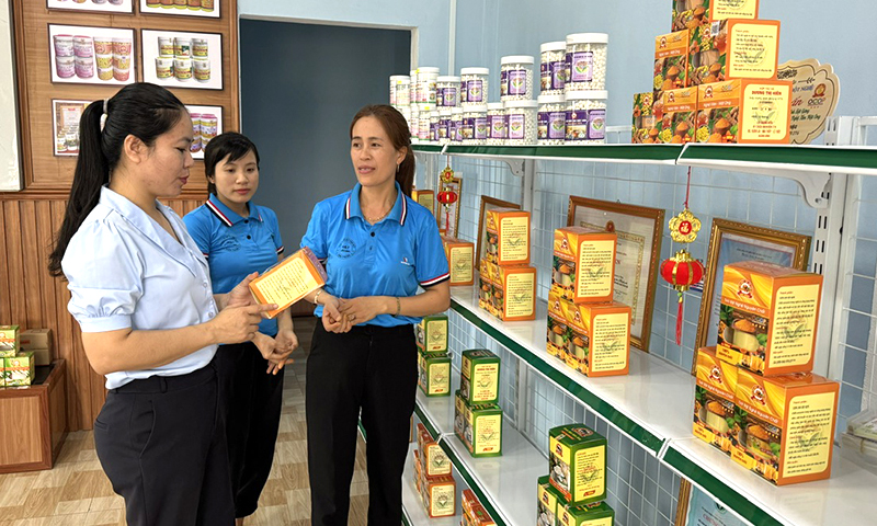 Lệ Thủy: 30 sản phẩm OCOP đạt từ 3 sao trở lên