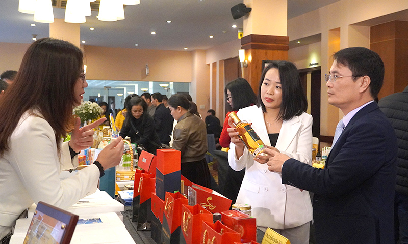 Kỳ vọng đưa sản phẩm vươn xa