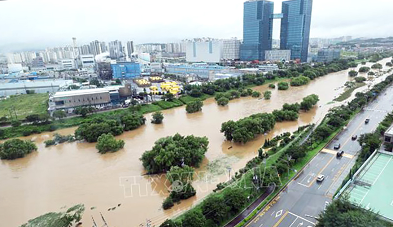 Hàn Quốc chuẩn bị đối phó bão Krathon