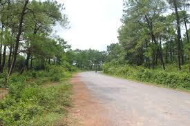 Gửi về Ba Trại