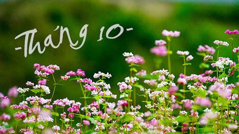 Tháng mười ơi!