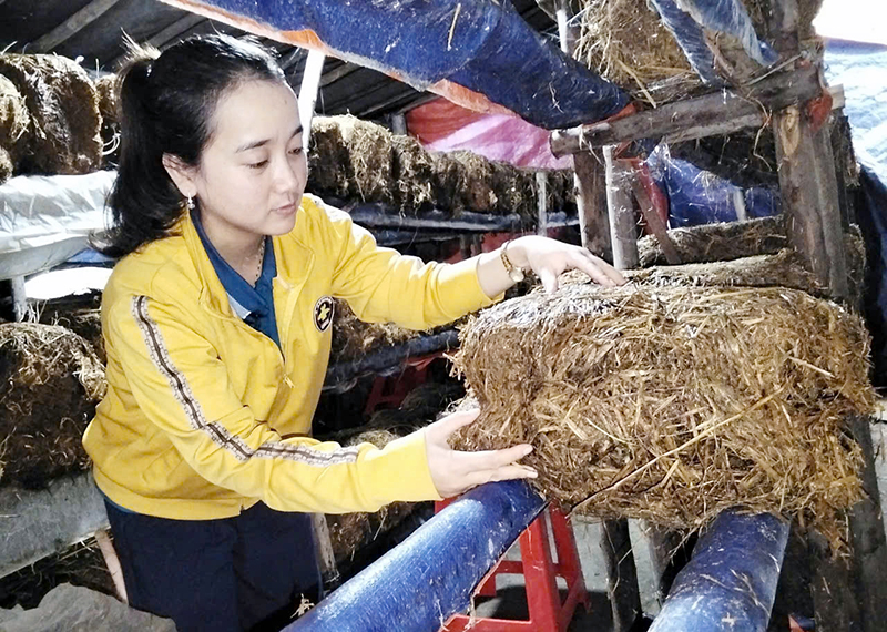 Chúng tôi nói về chúng tôi