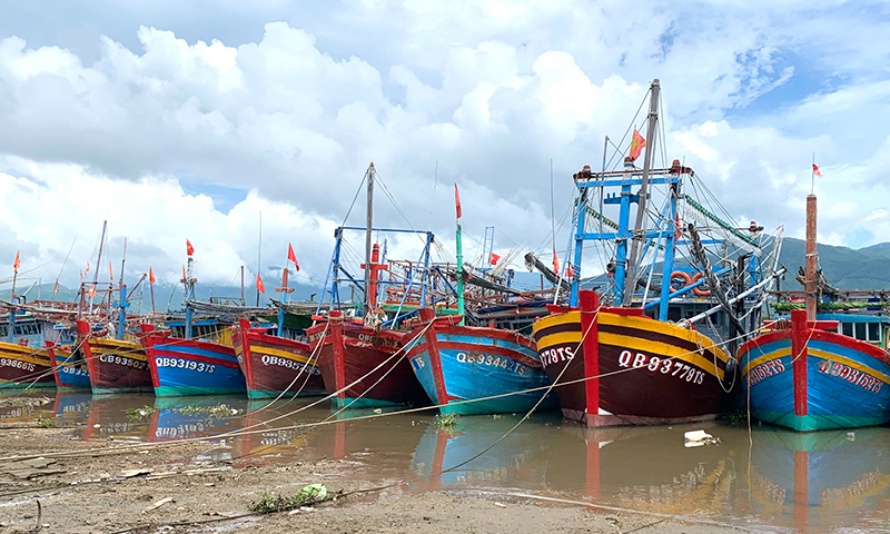 Chủ động ứng phó với thời tiết nguy hiểm trên biển và mưa lớn