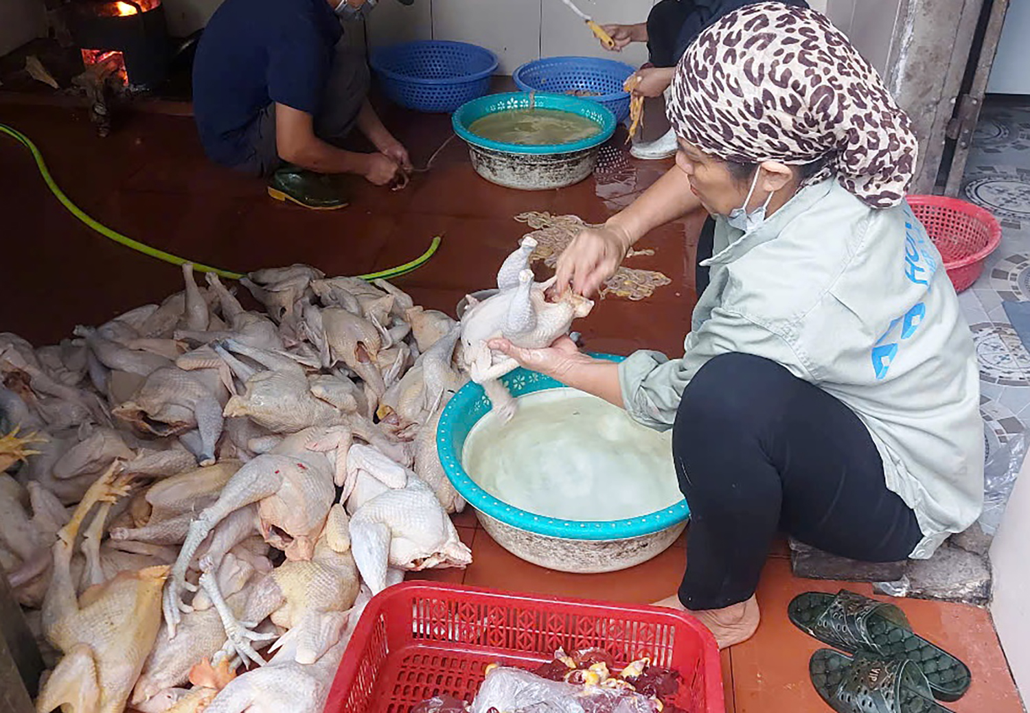 Kiểm soát giết mổ động vật: Vẫn còn nhiều khó khăn