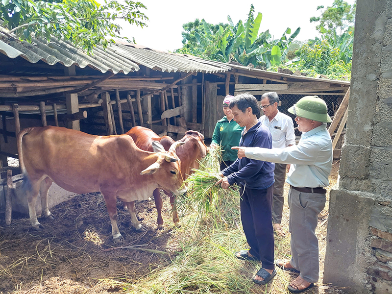 Kịp thời đưa vốn ưu đãi phục vụ sản xuất, kinh doanh