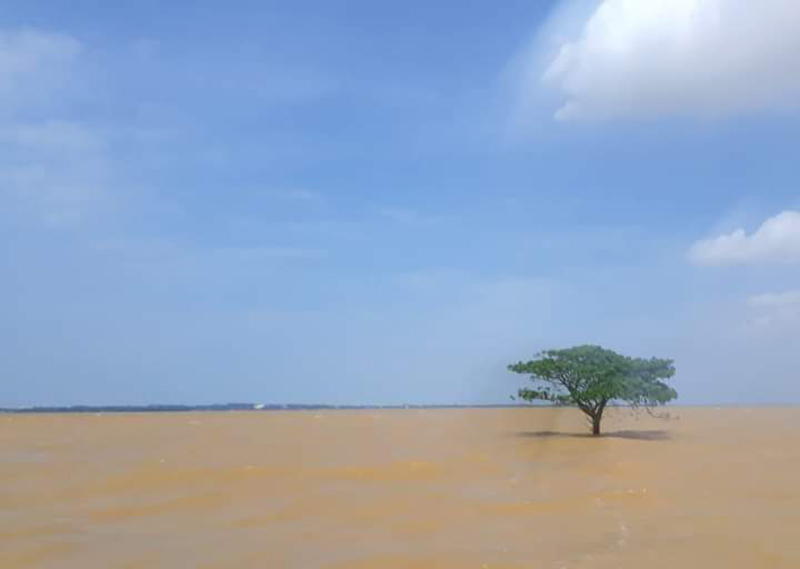 Nhớ những mùa lụt…