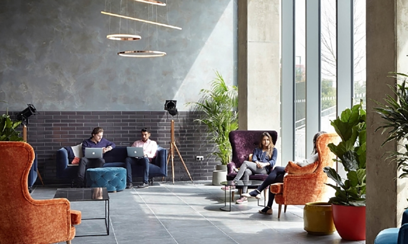 Mô hình Căn hộ chia sẻ (Co-living) là gì? Những lưu ý khi chọn thuê căn hộ Co-living