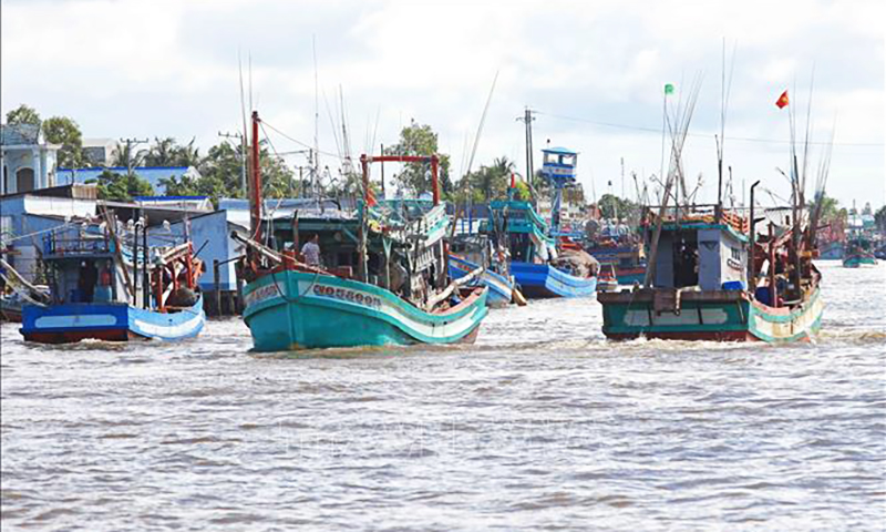 Thủ tướng Chính phủ yêu cầu xử lý dứt điểm tàu cá "3 không"