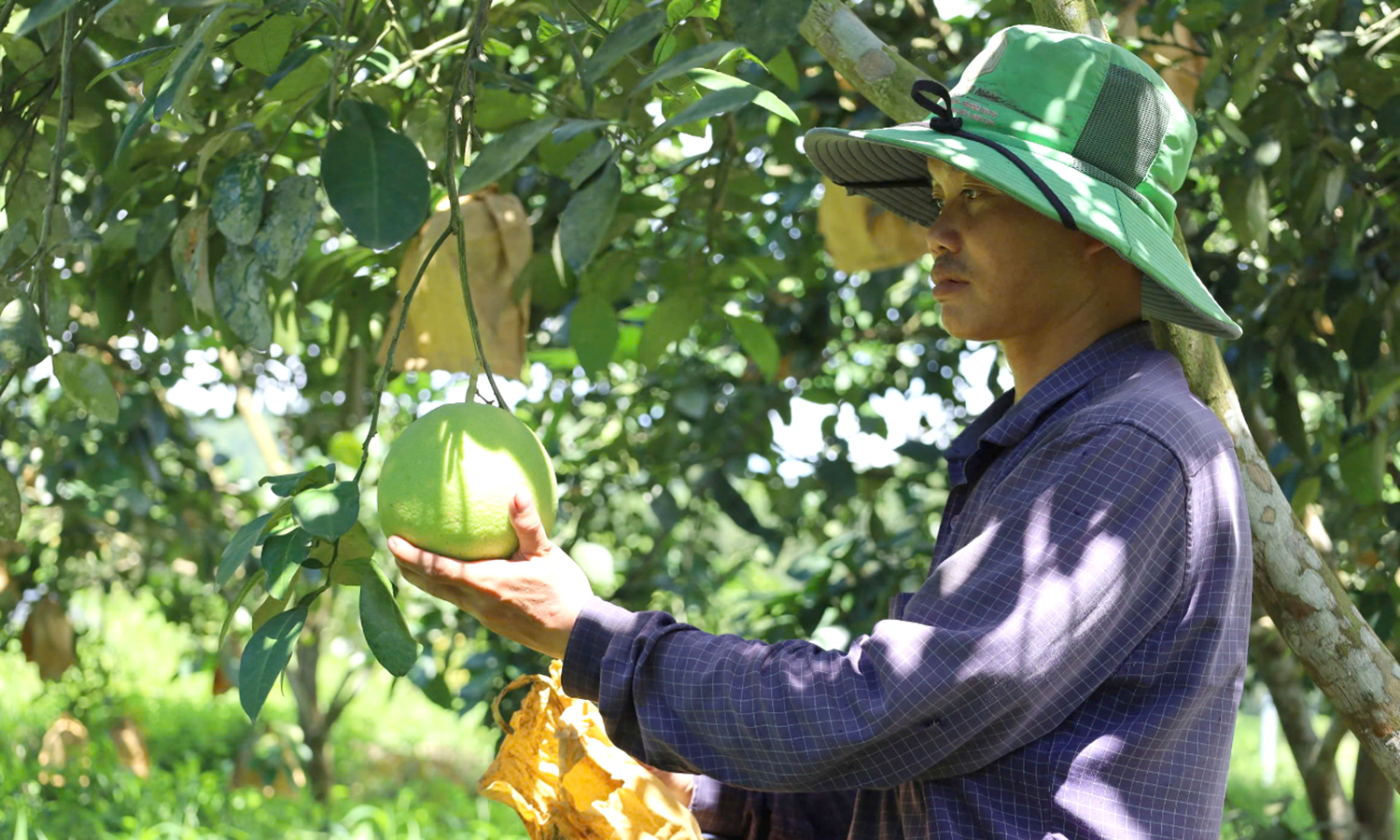 Chuyển đổi số nâng cao hiệu quả sản xuất