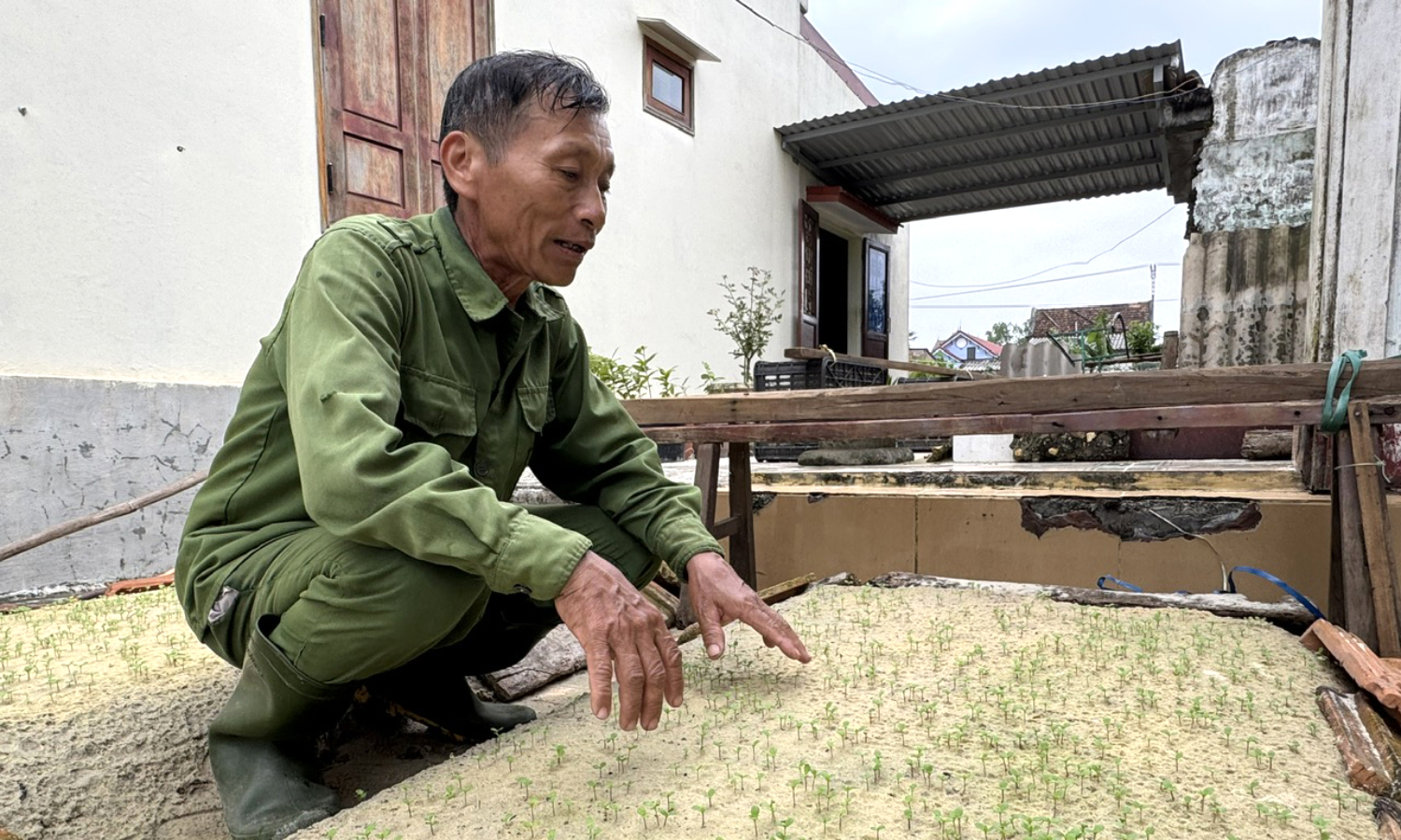 Nỗ lực khôi phục sản xuất nông nghiệp