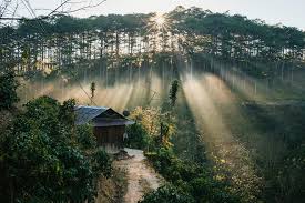Nhiều hơn một