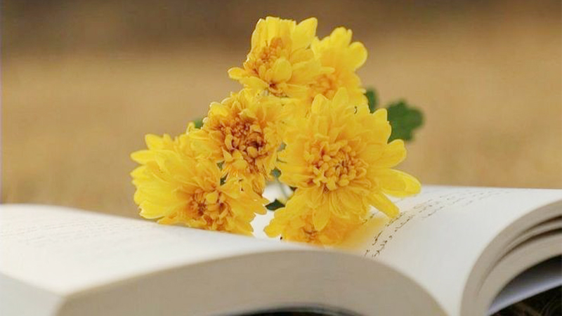 Nhớ ơn thầy cô