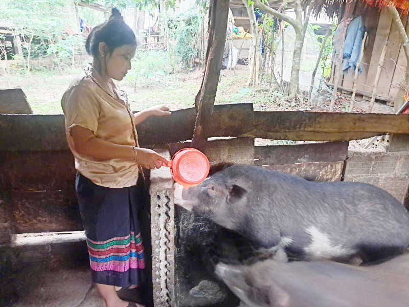 Phụ nữ dân tộc thiểu số làm kinh tế giỏi