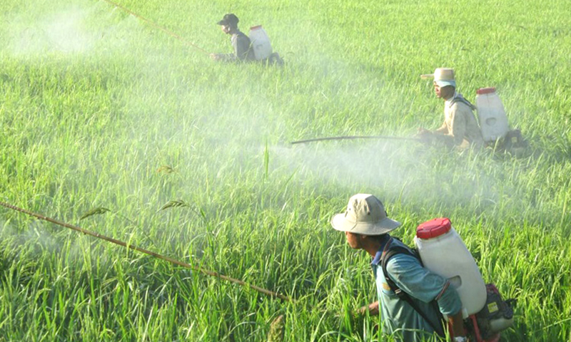 Tập trung kiểm tra chất lượng giống cây trồng, phân bón, thuốc bảo vệ thực vật